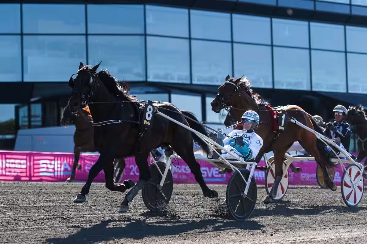 Arrivée du Kymi Grand Prix (Gr.I) samedi à Kouvala. DON FANUCCI ZET c'est du solide