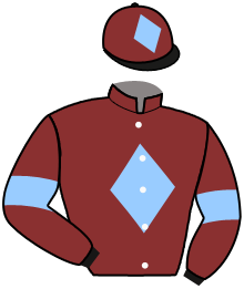 Casaque du n°1 — MOODY GEM