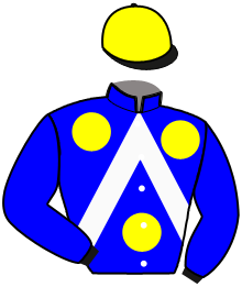 Casaque du n°10 — LEGENDE DE VILLARS