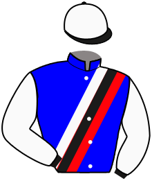 Casaque du n°11 — LUX DES PRES