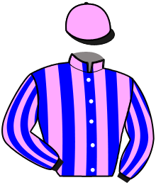 Casaque du n°2 — HATLAS DE MOUTIERS