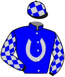 Casaque du n°1 — SIR EXPRESS