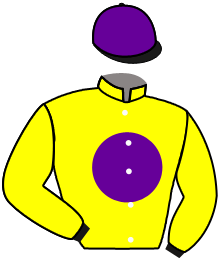 Casaque du n°4 — KLIFF BERE