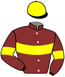 Casaque du n°12 — ALTIA