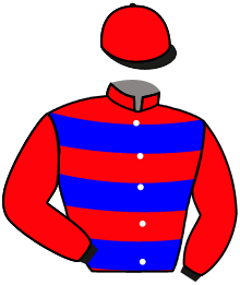 Casaque du n°13 — VESCO