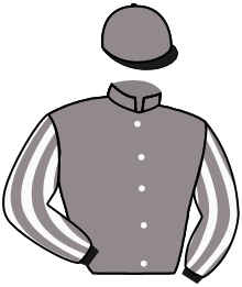 Casaque du n°9 — NOCE D'OR