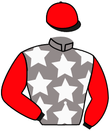 Casaque du n°10 — CEMBALLO