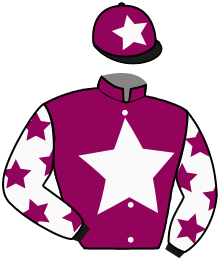 Casaque du n°14 — NAVAMARIN