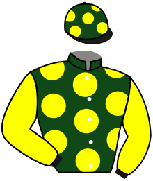 Casaque du n°9 — ZOUBAREVA