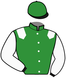 Casaque du n°10 — HEADSCOTT