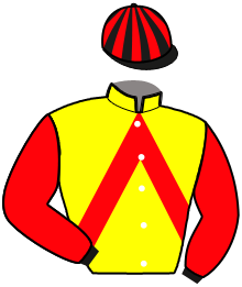 Casaque du n°9 — JUST DE L'OISON