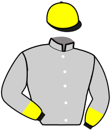 Casaque du n°10 — GIOIELLO ROC
