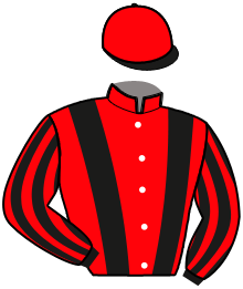 Casaque du n°2 — LIQUIDATEUR