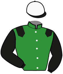 Casaque du n°5 — LUSANIO DE WARNOC