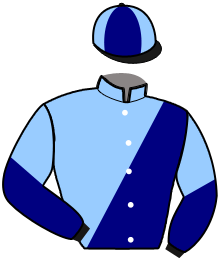 Casaque du n°2 — IDEAL LIGNERIES