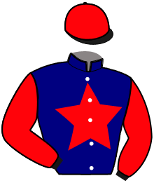 Casaque du n°9 — LEXOVIENNE