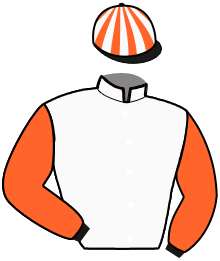 Casaque du n°14 — GITANO JACK