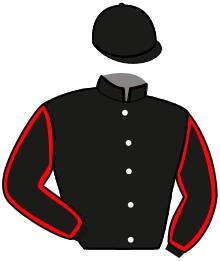 Casaque du n°3 — HERMES HAUFOR