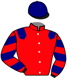 Casaque du n°4 — GALOPIN DE CONDE
