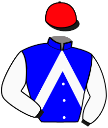 Casaque du n°5 — HEROIC DES BOSC