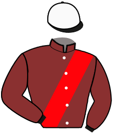 Casaque du n°8 — HORSERIS