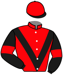 Casaque du n°1 — PASCIALELLA