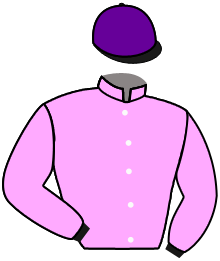 Casaque du n°6 — TERRALUNA