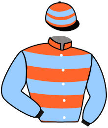 Casaque du n°3 — NEFERTARI BELLEVUE