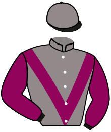 Casaque du n°8 — PANZERINA
