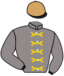 Casaque du n°3 — WASMIYA