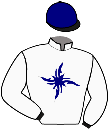 Casaque du n°1 — GENEVA