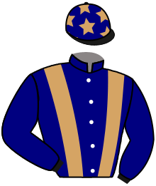 Casaque du n°6 — TS WASEEMA