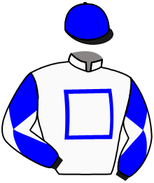 Casaque du n°9 — AL SAFINAT