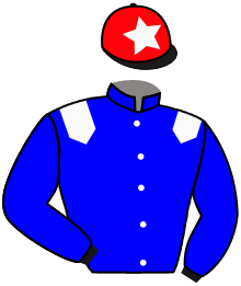 Casaque du n°8 — AMBROSIA DE VAIGE