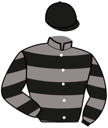 Casaque du n°1 — MIGUEL DE LOU