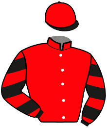 Casaque du n°5 — MIRZA DU BOUILLON