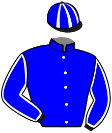 Casaque du n°1 — NORIEGA