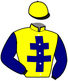 Casaque du n°3 — NEVERS DE BELLANDE