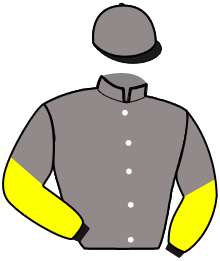 Casaque du n°9 — IVAN DE L'ERDRE
