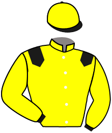 Casaque du n°4 — WECHAAD