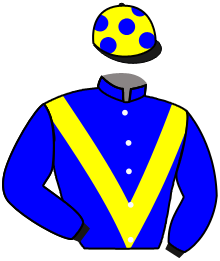 Casaque du n°8 — ALFARAZ