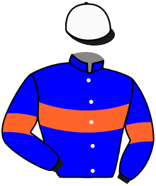 Casaque du n°10 — SUPIDO