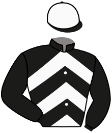 Casaque du n°8 — THE FINGAL RAVEN