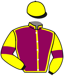 Casaque du n°5 — NOTABLE DREAM