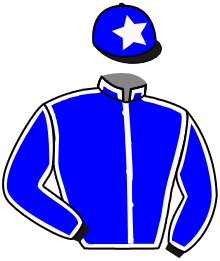 Casaque du n°11 — VENETIAN SUN