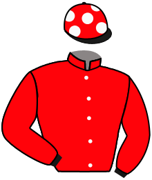 Casaque du n°8 — COPPULL