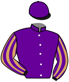 Casaque du n°5 — NIKOVO