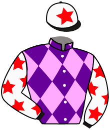 Casaque du n°8 — HARLEQUIN ANGEL