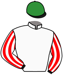 Casaque du n°2 — MOTAWAALI