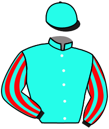 Casaque du n°2 — SOLEIL VOLANT